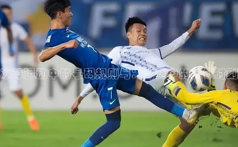 J9九游会老哥俱乐部