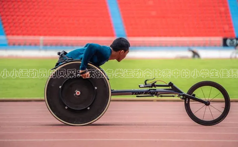 j9九游会国际站官方网站