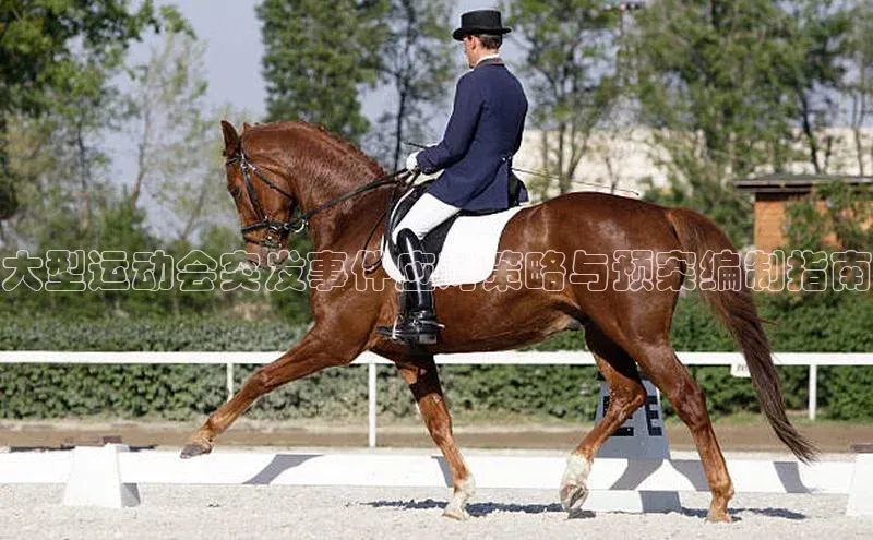 九游会ag老哥俱乐部入口