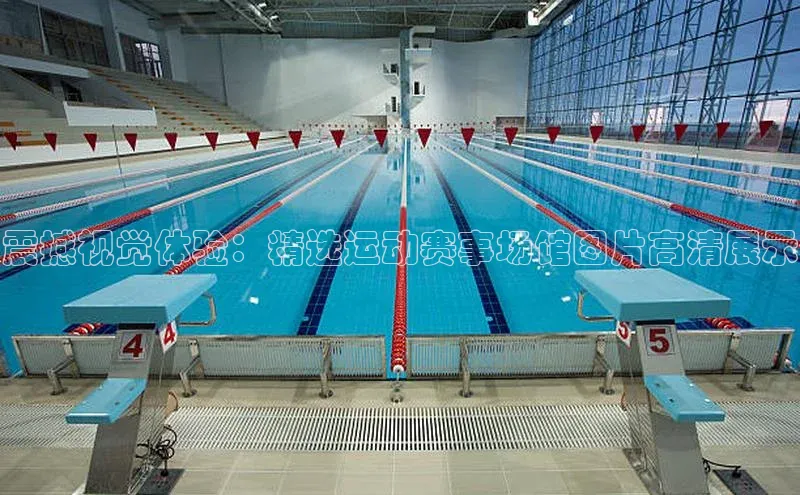 九游j9登录入口首页