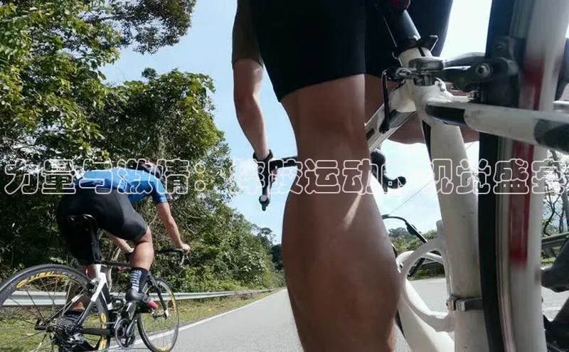 九游官网首页登录入口