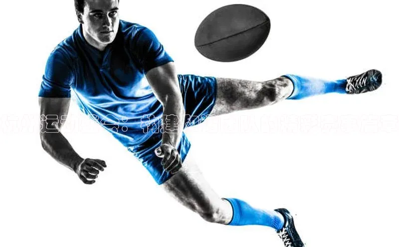 九游会登录入口官网