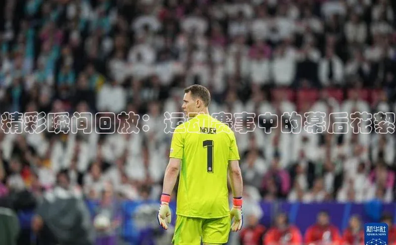 九游会j9官网登录入口